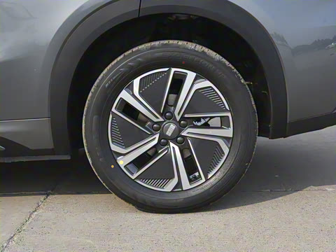 2025�� 55km ̽����