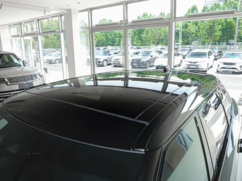 2026�� 250PS Dynamic SE