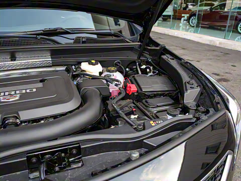 2023�� 28T ���������