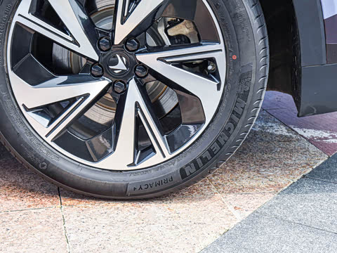 2022�� ������