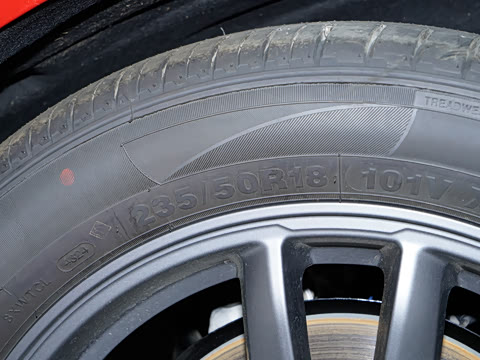 2024�� 555������