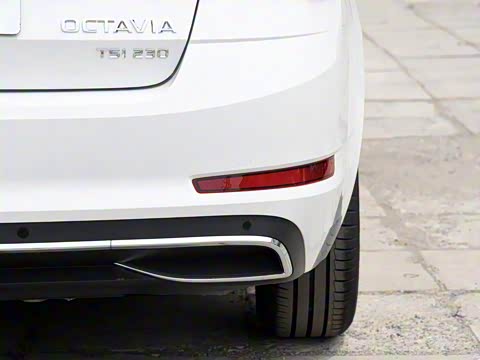 2019�� TSI230 DSG���к����� ��VI