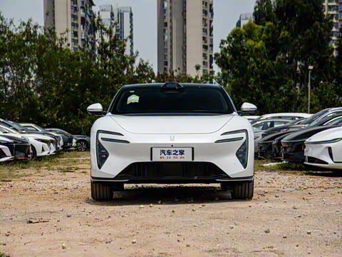 2025�� Max�����