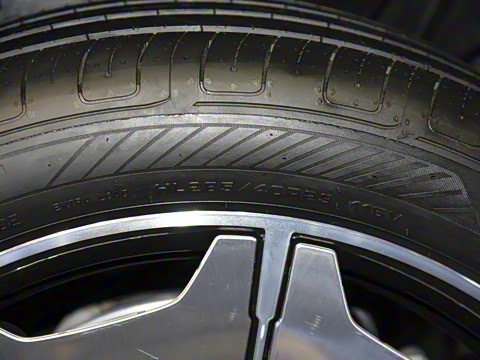 2025�� ������