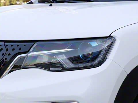 2020�� ���