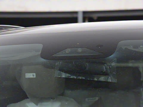 2025�� 725 �������� Max