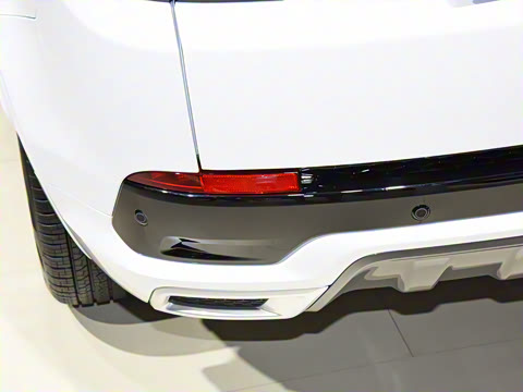 2022�� P300e ���ܿƼ���