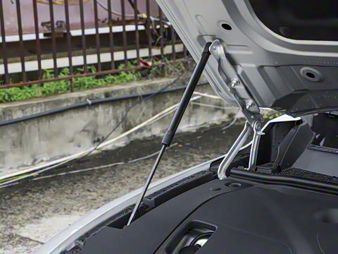 2025�� ���� 230ProѲ����