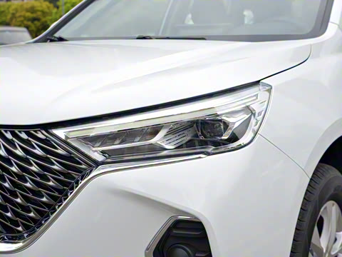 2023�� PLUS 1.5T DCT��Ӣ������