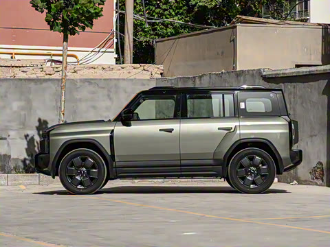 2025�� 501���������