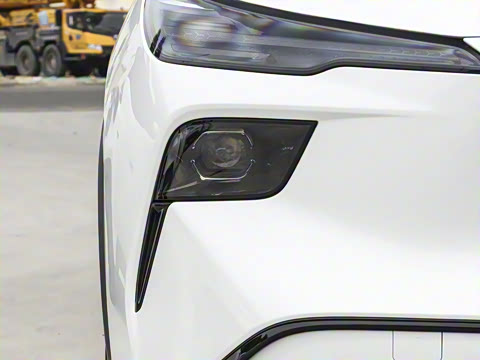 2025�� 565km ������