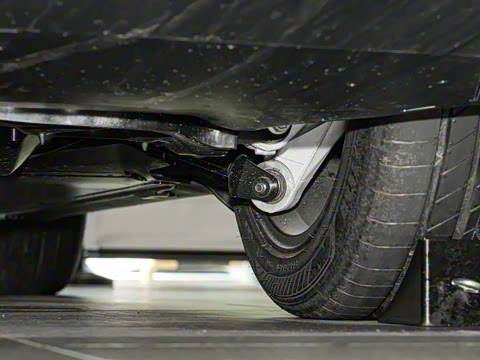 2025�� ����������