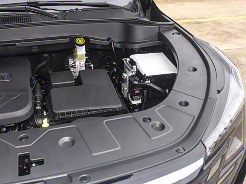 2025�� �ǻ������� 125km ������