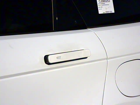 2021�� ����L P300e ������