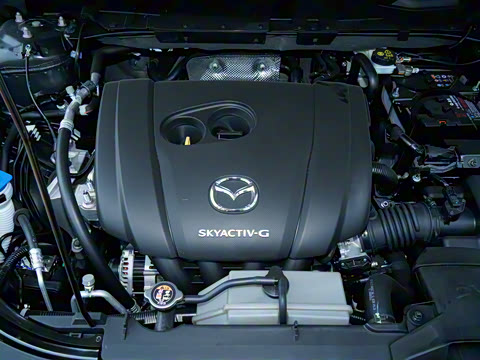 2025�� 2.0L �Զ�����������