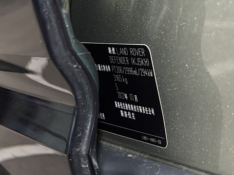 2023�� 110 3.0T P400 X