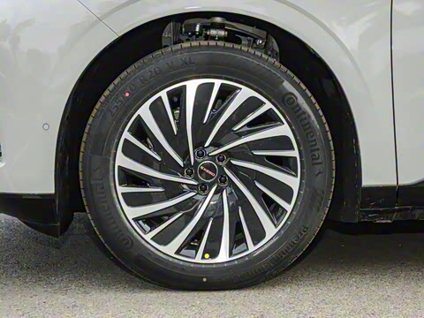 2025�� ���� 265 Max��������������ʻ