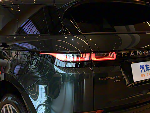 2023�� ����L P300e ���ʽ�綯��ϰ�