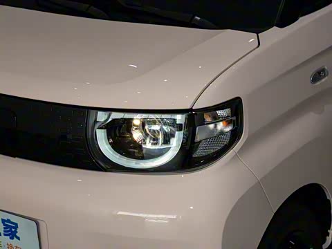 2025�� 205km ʥ����