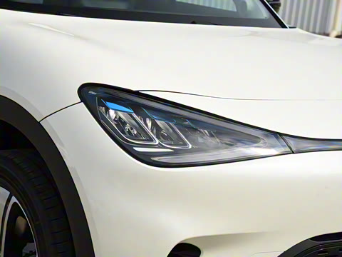 2026�� �鶯��������