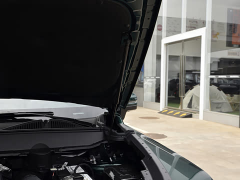 2025�� 2.0T 4WD Pro