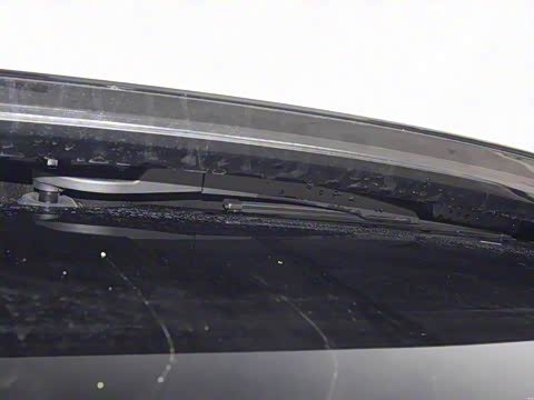 2025�� ���� 265 Pro�������ٸ�����ʻ