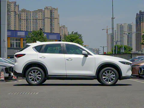 2025�� 2.0L �Զ���������Pro