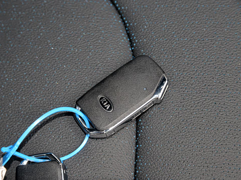 2020�� EV ���������� 490km