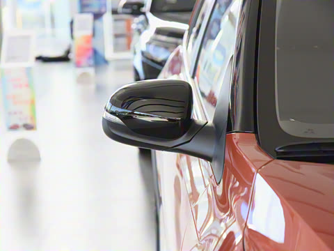 2021�� 1.4L �Զ�Ȥ���˶���