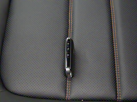 2024�� 2.0L �Զ���������Pro