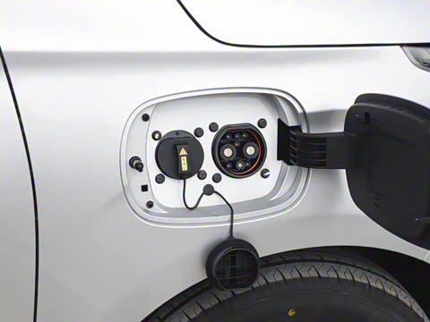 2025�� 305km ������