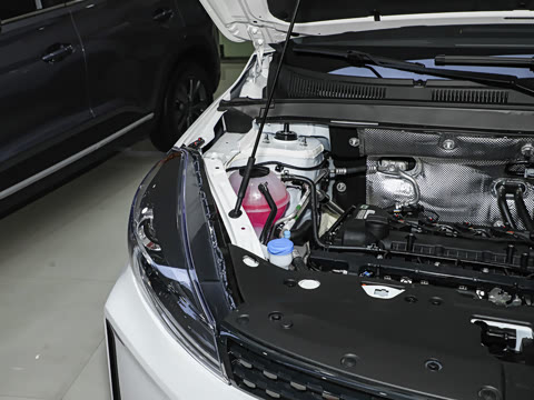 2025�� 1.5L �ֶ�������