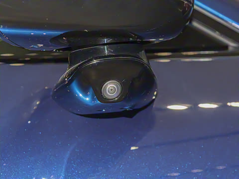 2025�� ������������������Max��