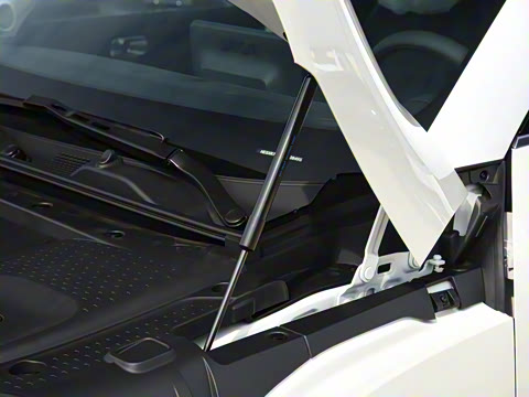 2026�� �鶯��������