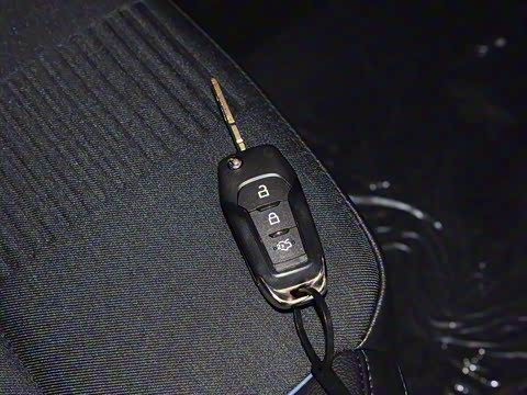 2020�� EcoBoost 180 �Զ�������