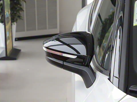 2025�� ������������ʿPRO��