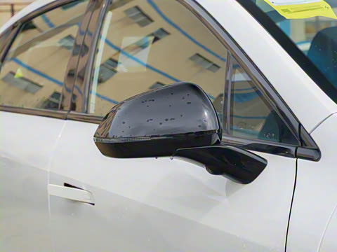 2025�� 650 ������