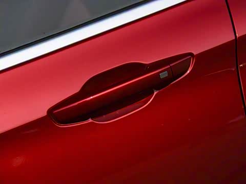 2019�� 1.5T �Զ������� 6��