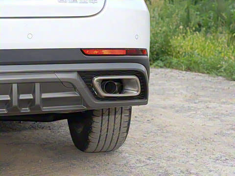 2024�� �ھ��� 290T ������ҫ�� 7��