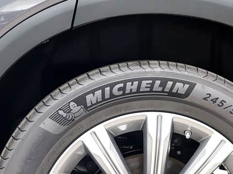 2020�� 390T �������������棨������