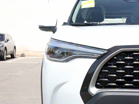 2023�� 2.0L ������