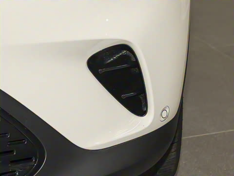 2026�� �鶯������