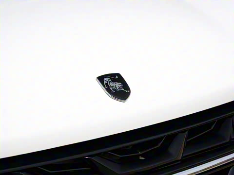 2023�� ʢ���� 1.6L �ֶ�׷�ΰ� ����