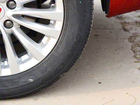 2019�� ������