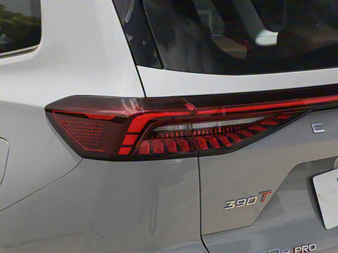 2024�� �ھ��� 390T �����۷�� 7��