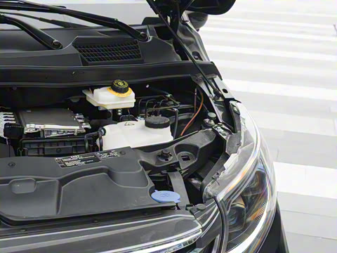 2025�� ����ʿ LW63