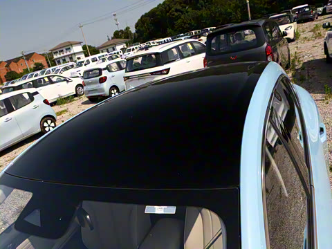 2026�� 600km �����׼��