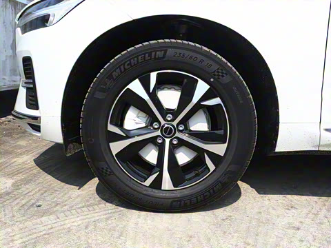 2026�� B5 �������ݺ�����