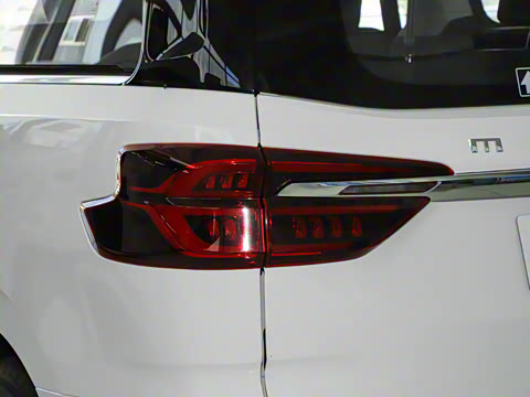 2025�� MAX 2.0T �Զ������� ���� 7��