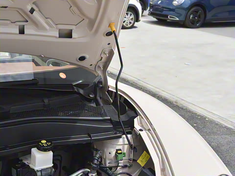 2025�� 430km ������